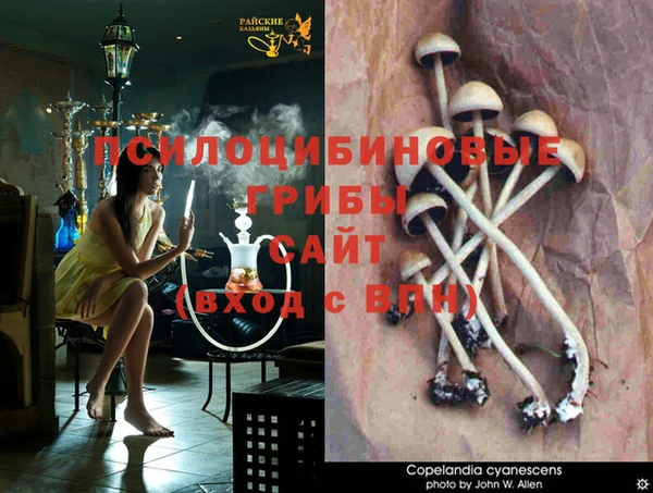 амф Белоозёрский