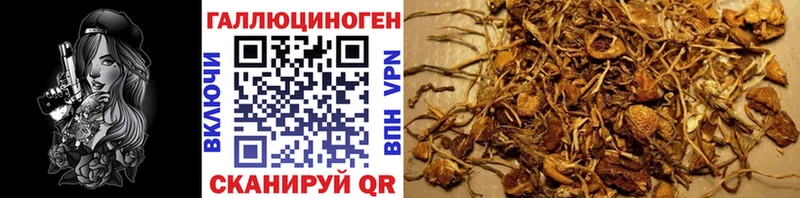 Псилоцибиновые грибы Magic Shrooms  где можно купить   Николаевск-на-Амуре 